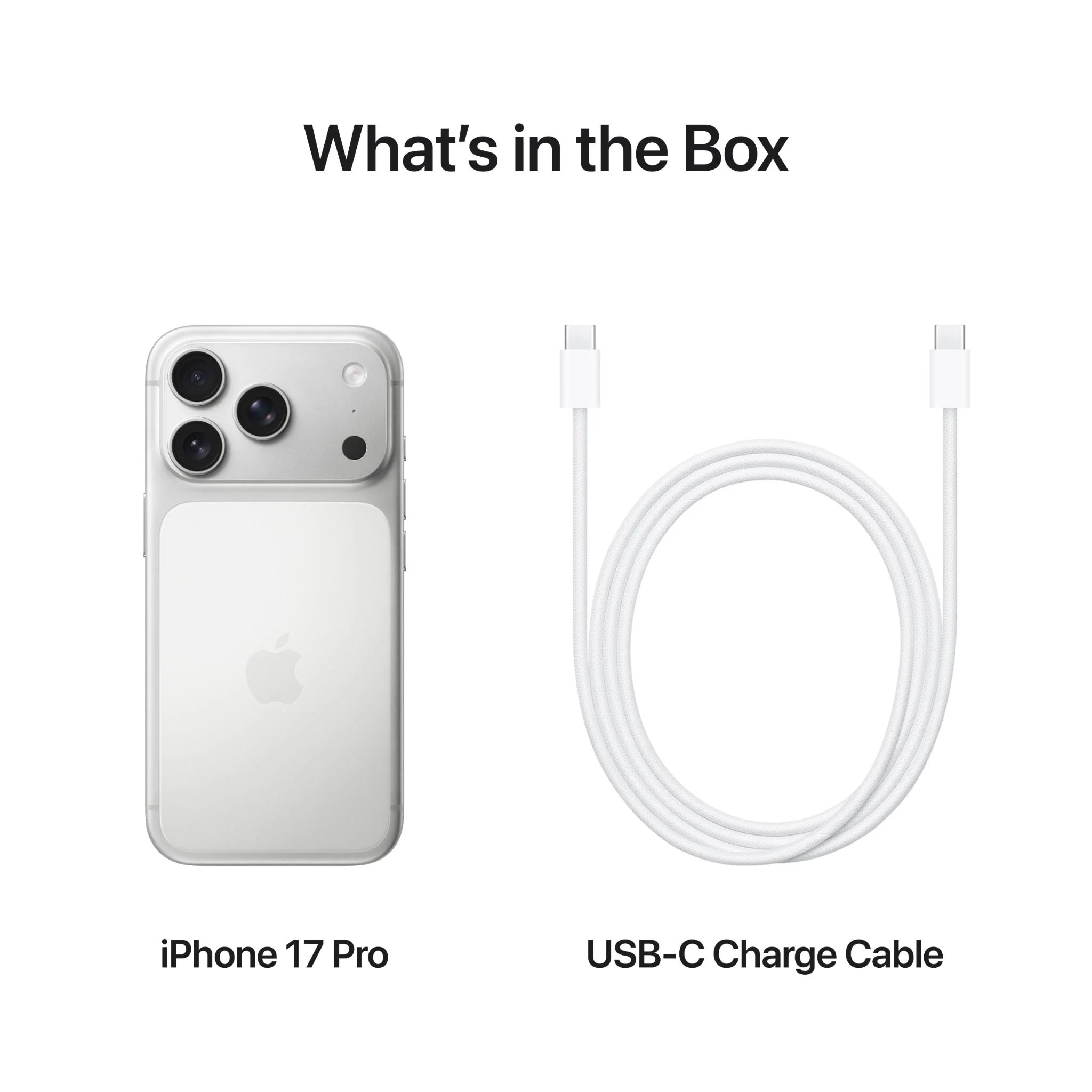 Apple iPhone 17 Pro 1TB (Silver) - Image 8