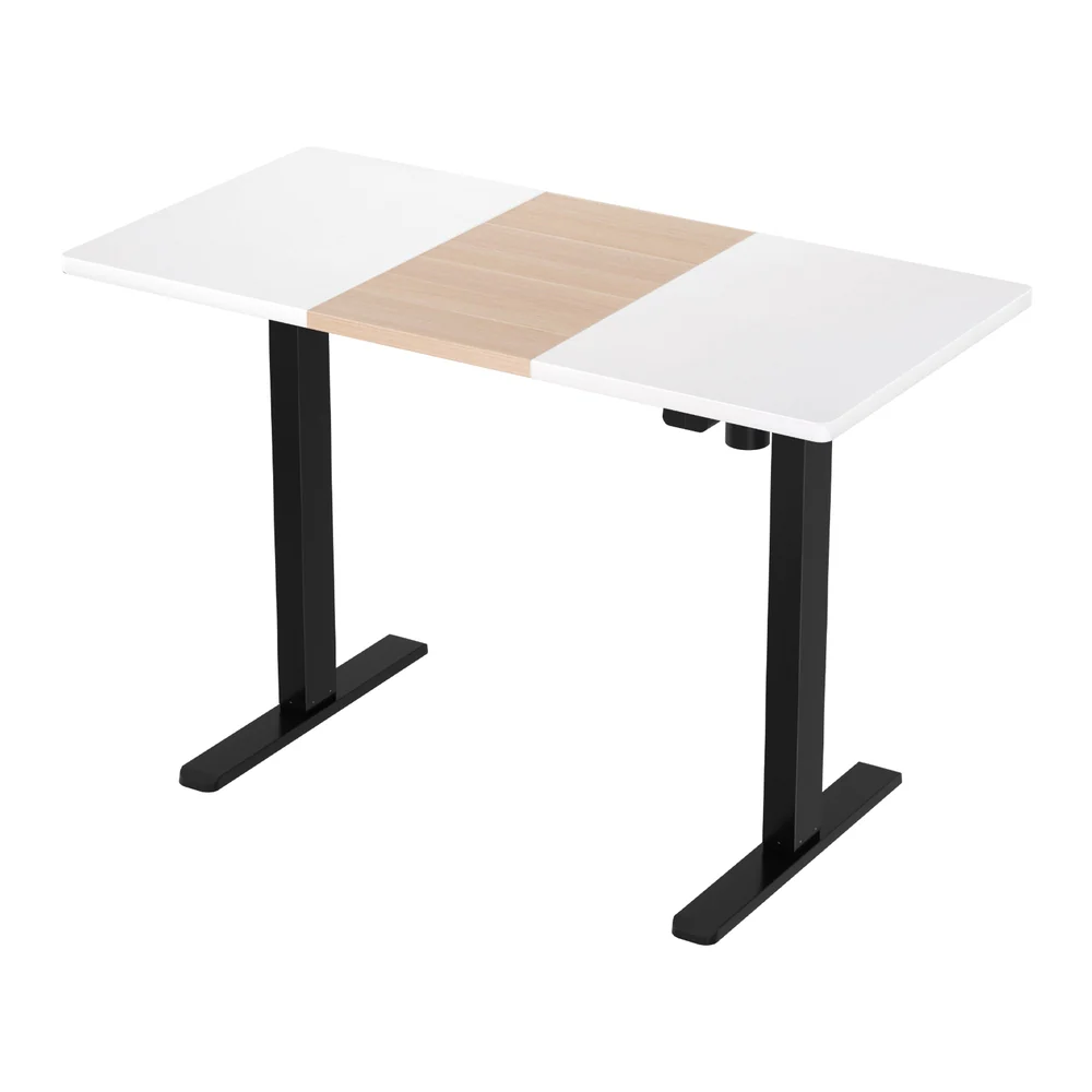 Artiss Motorised Standing Desk Sit Stand Desks 120CM