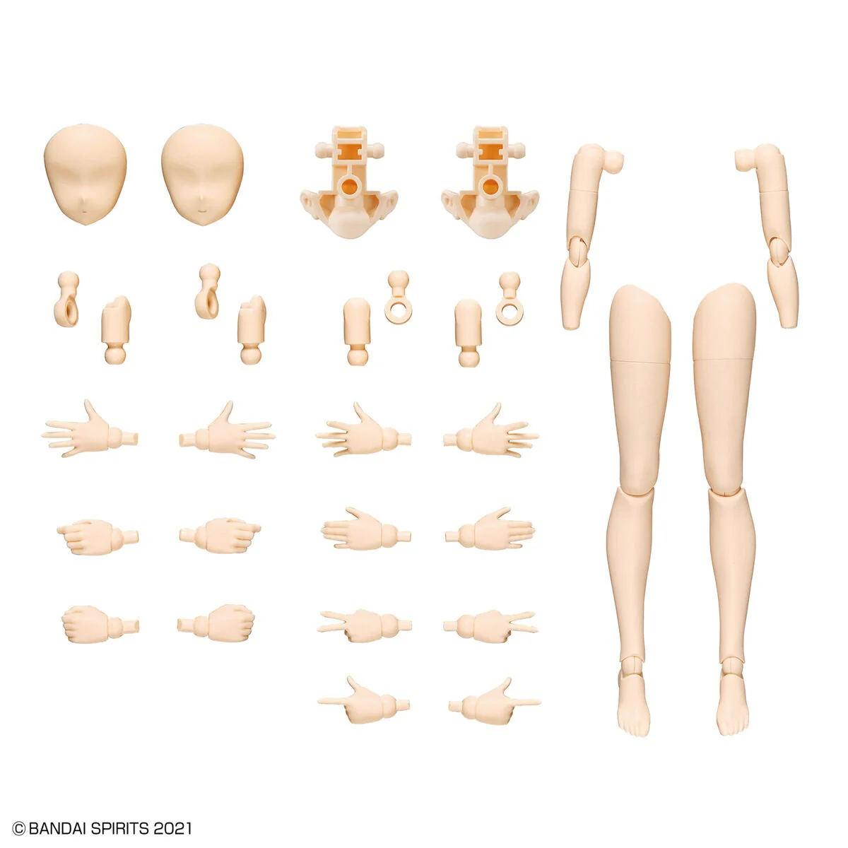 Bandai 30ms Option Body Parts Arm Parts and Leg Parts [Color A] - Image 2