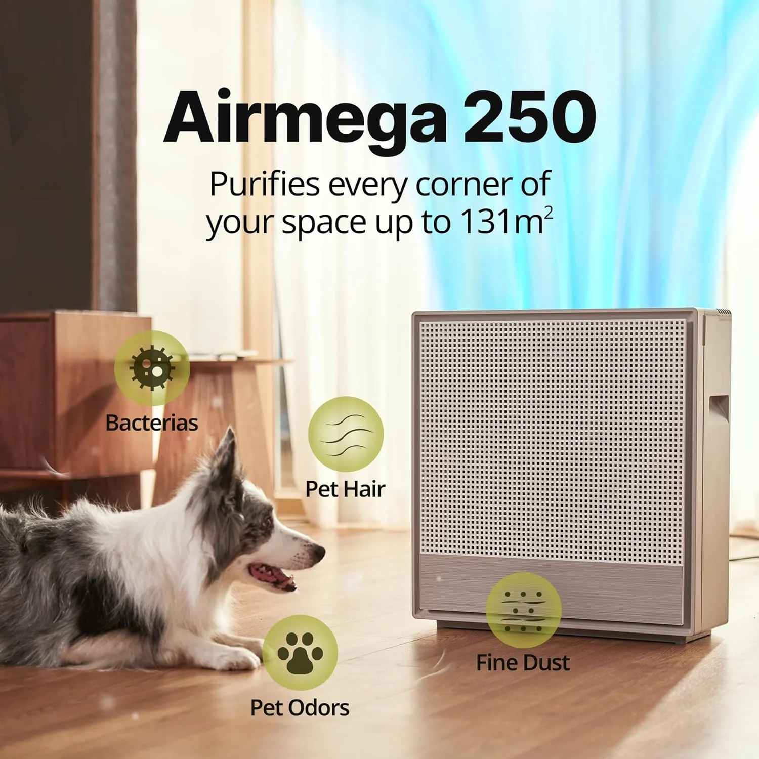 Coway Airmega 250 Hepa Air Purifier – 131m² 3-stage Filtration And Allergy Relief - Image 5