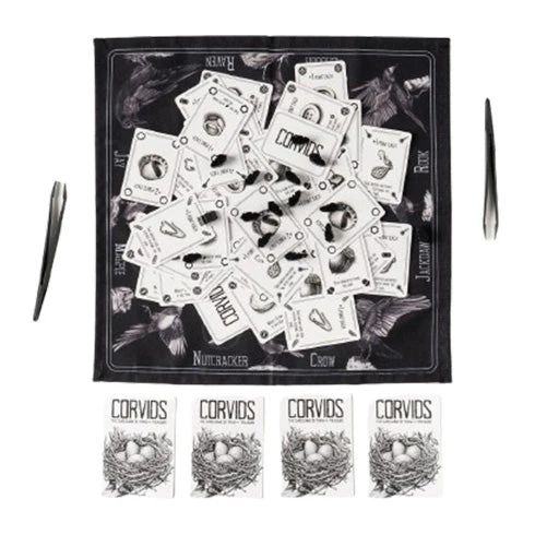 Dvc Games Corvids - Image 3