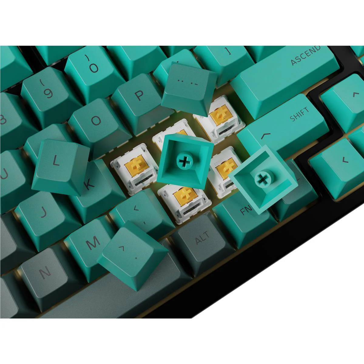 Glorious PBT Rain Forest Key Caps - Image 6