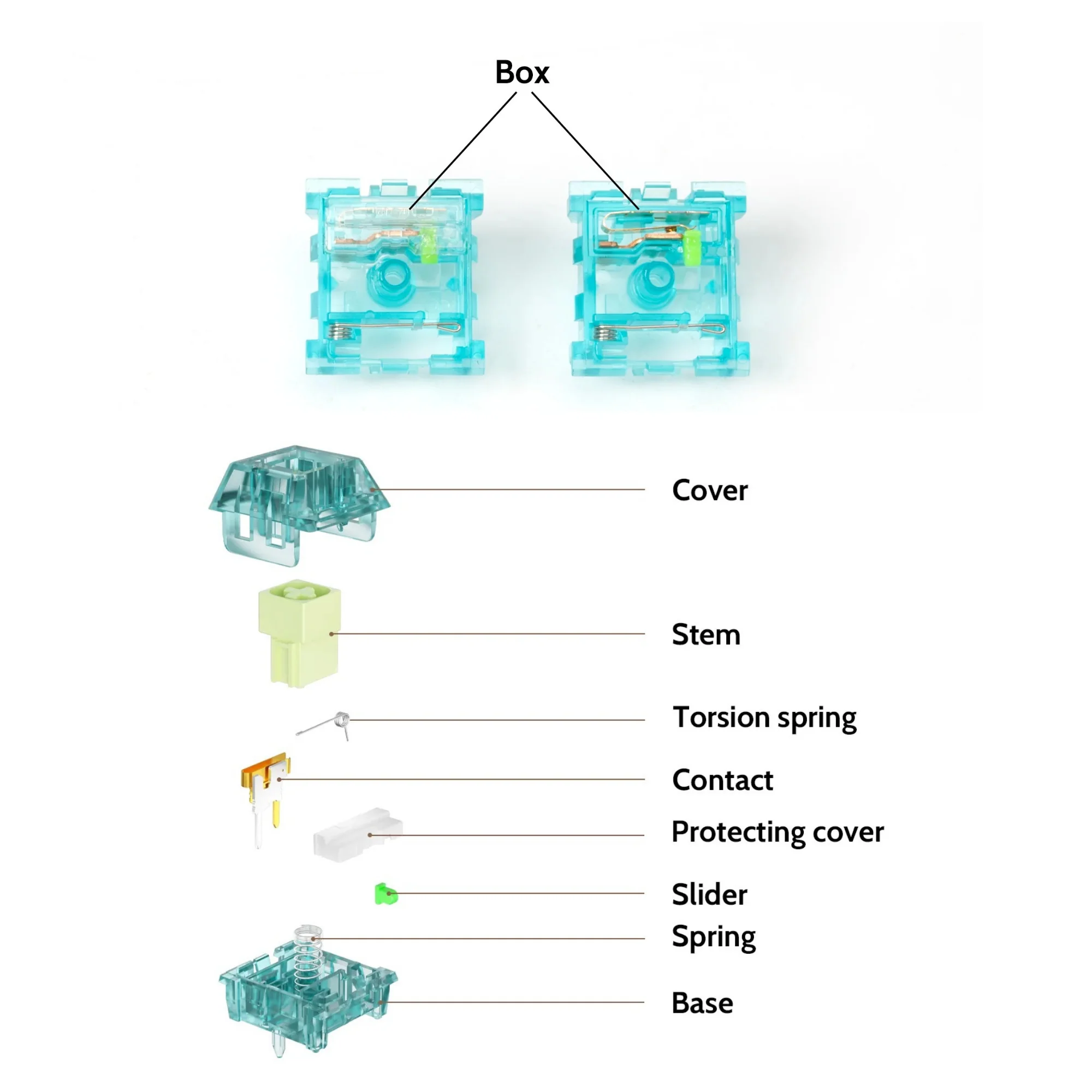 Keychron Kailh Box Summer Clicky Switch 110pcs - Image 5