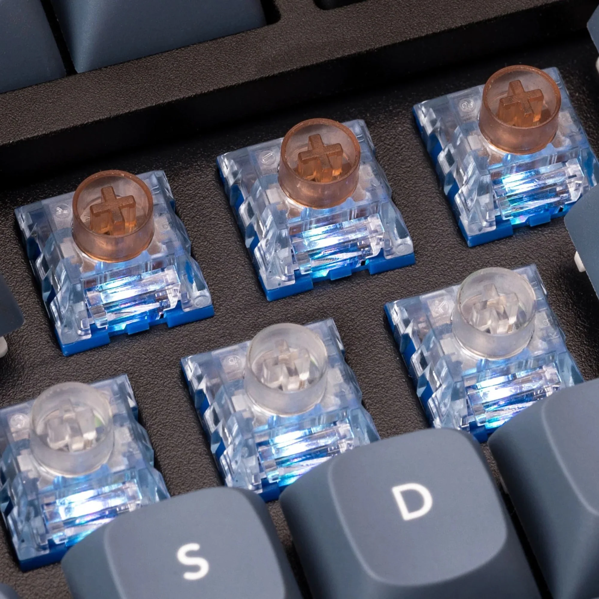 Keychron Kailh Deep Sea Silent Pro Box Switch 110pcs (Tactile Whale) - Image 4