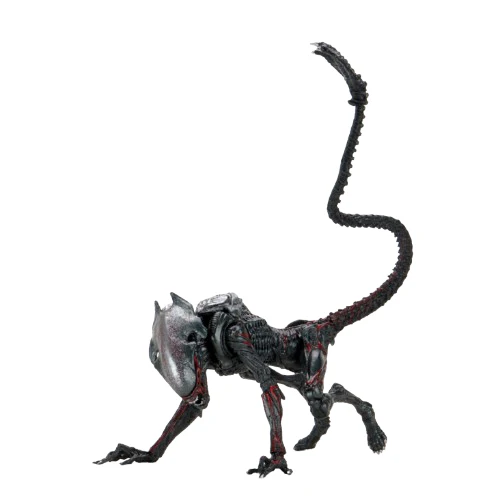 Neca Aliens Night Cougar Kenner Tribute 7'' Scale Action Figure Play Toy