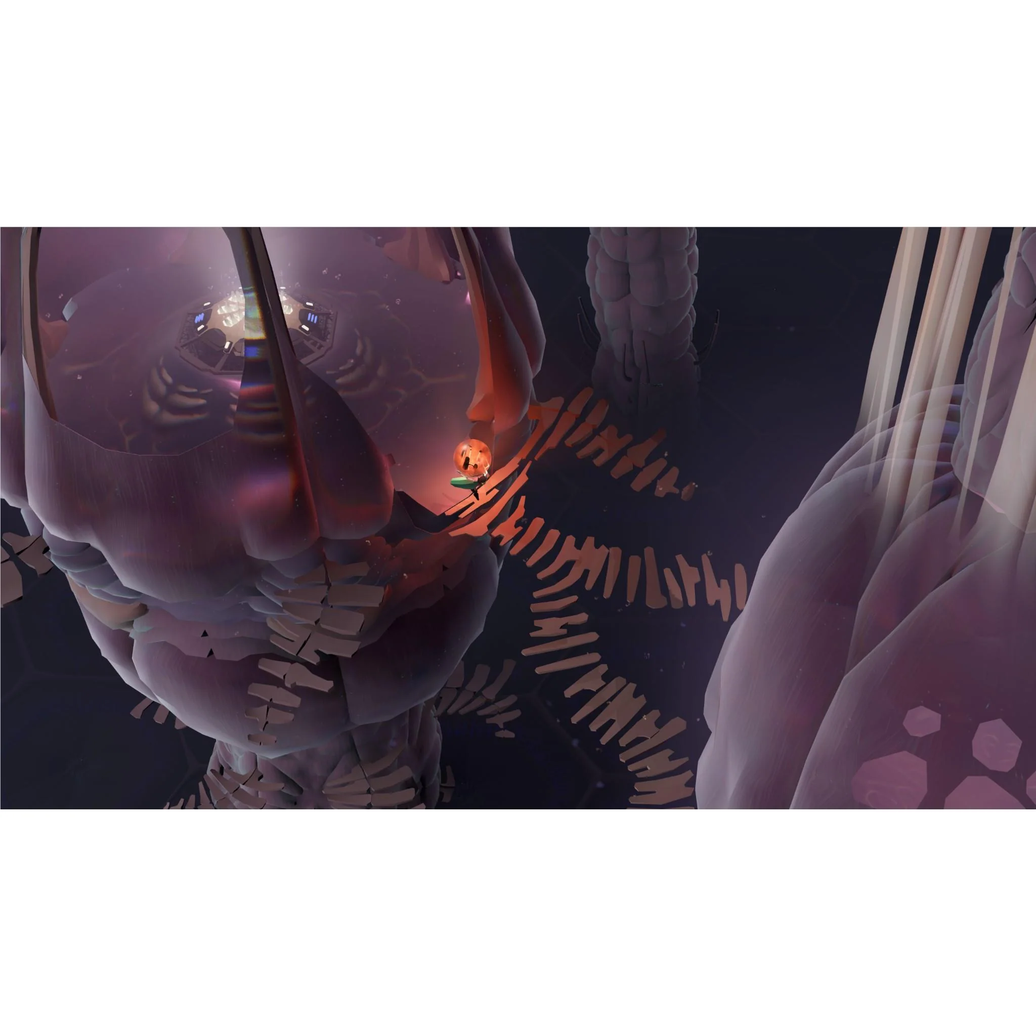 COCOON - Image 5