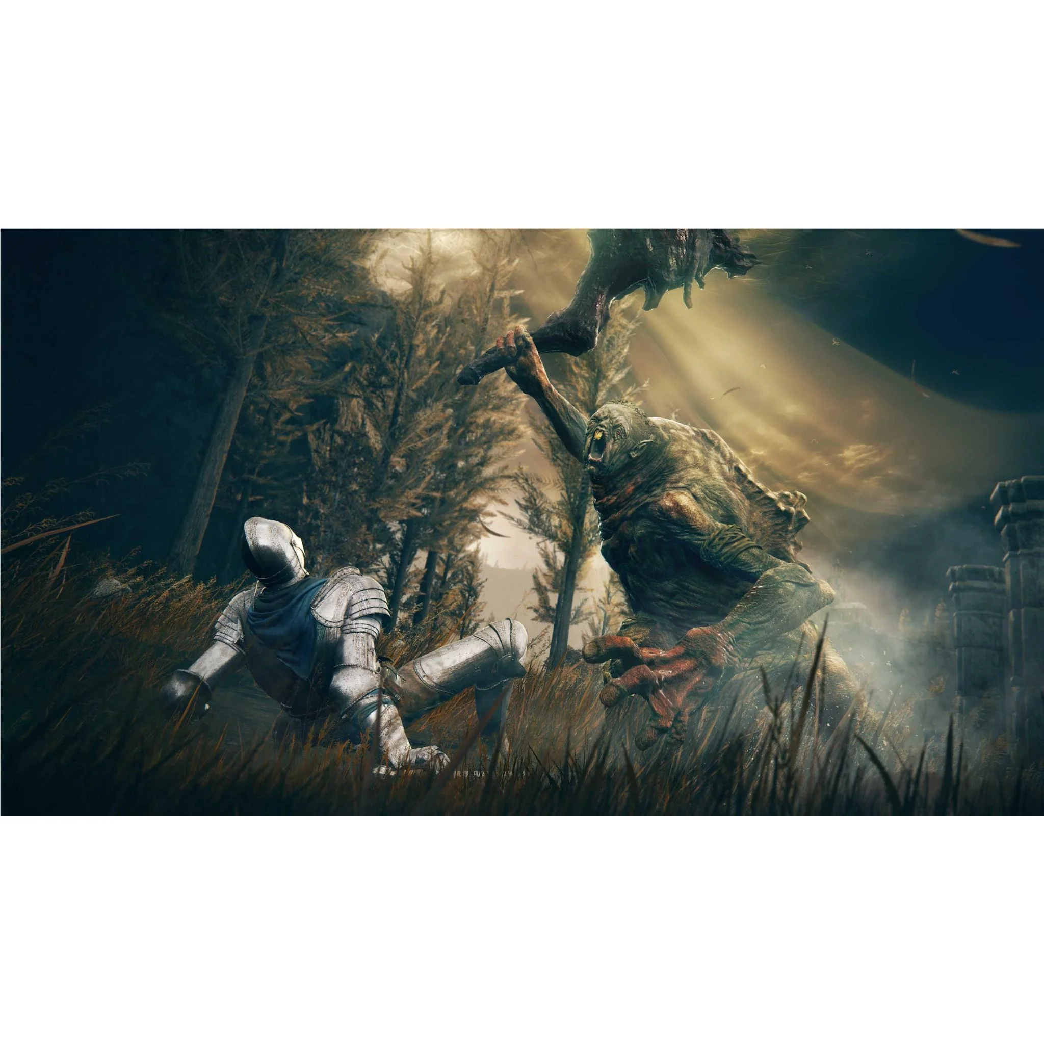 ELDEN RING Shadow of the Erdtree Edition - Image 5