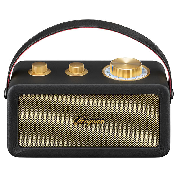 Sangean RA-101 BT Speaker with FM Radio (Black)