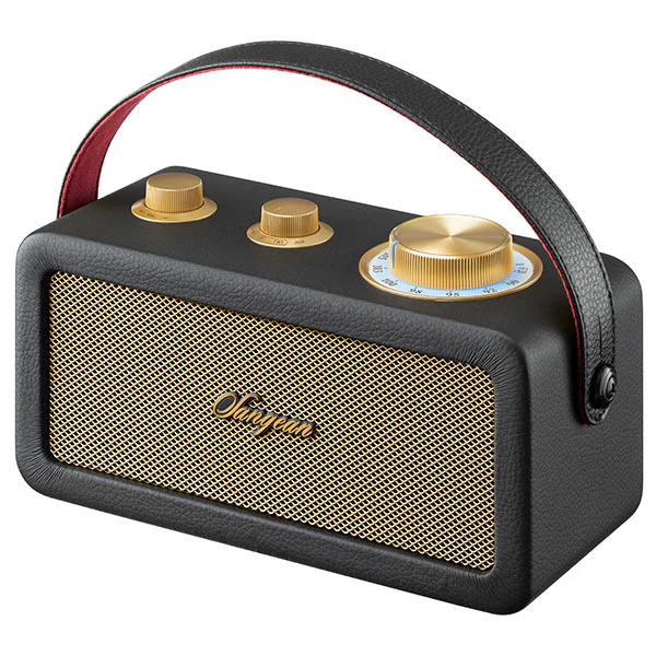 Sangean RA-101 BT Speaker with FM Radio (Black) - Image 2