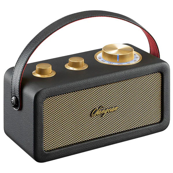 Sangean RA-101 BT Speaker with FM Radio (Black) - Image 4