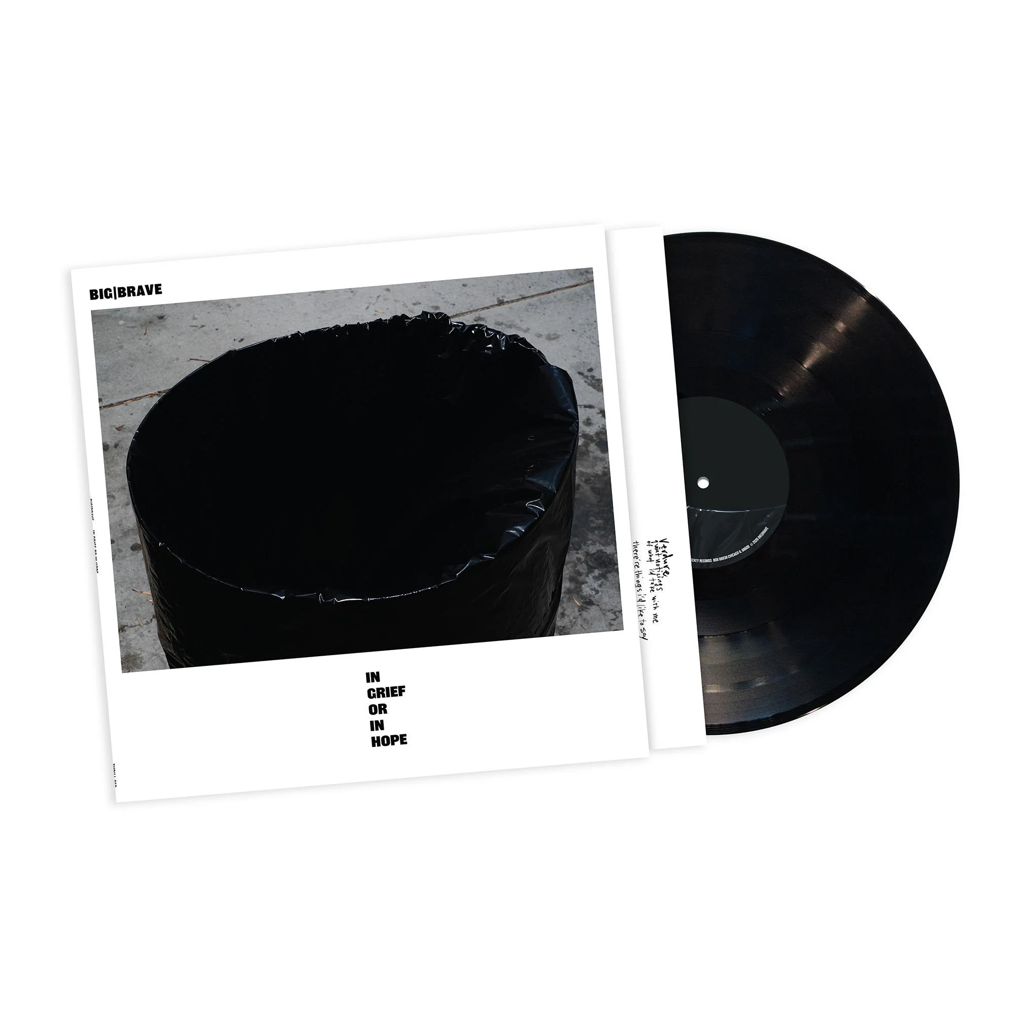 in grief or in hope (Vinyl)