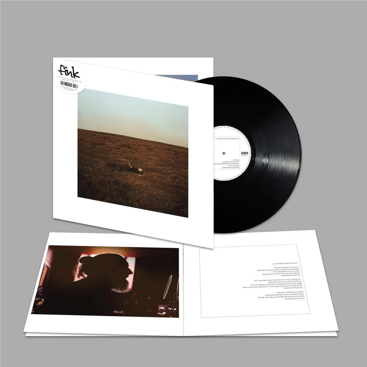 City Is Coming To Erase It All (Vinyl)