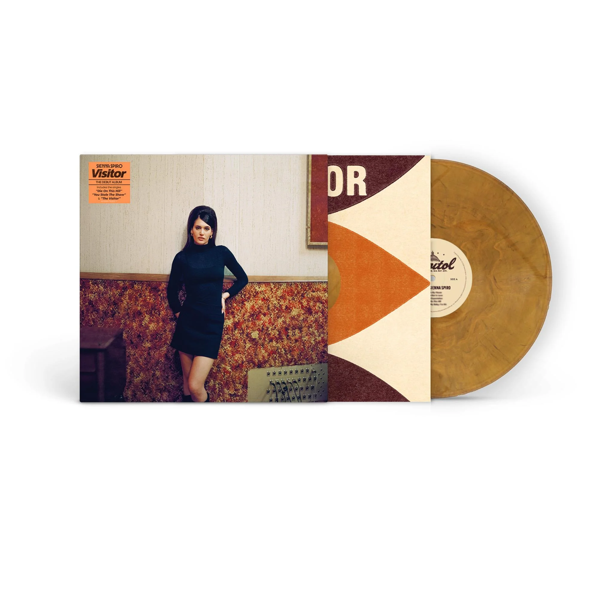 The Visitor (JB Hi-Fi AUS Exclusive Marble Colour Vinyl + Alternative Cover)